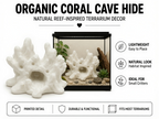 Organic Coral Cave Hide – Natural Reef-Inspired