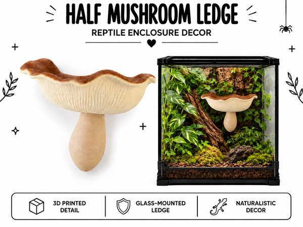 Half Mushroom Ledge – Enclosure Decor