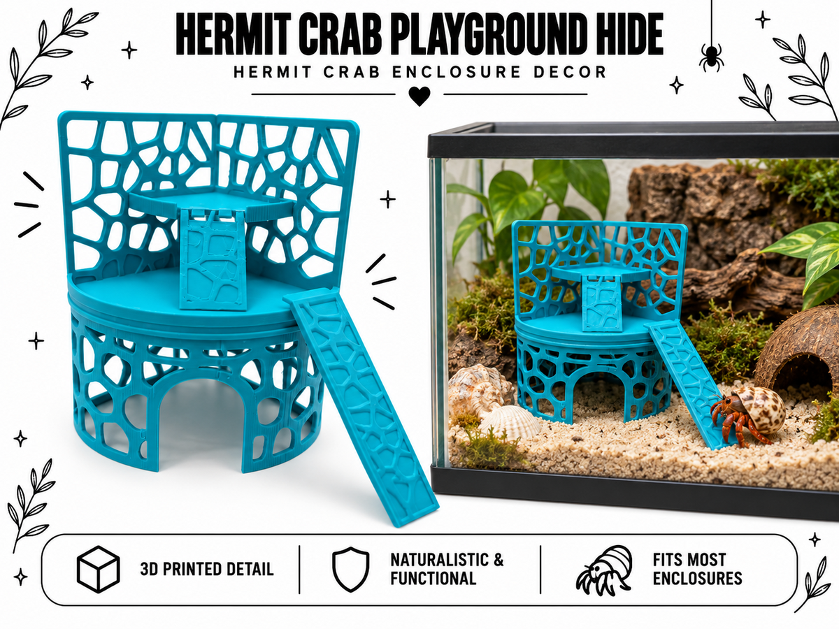 Hermit Crab Playground Hide with Ramp Platform