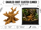 Gnarled Root Cluster Climber – Natural Structure