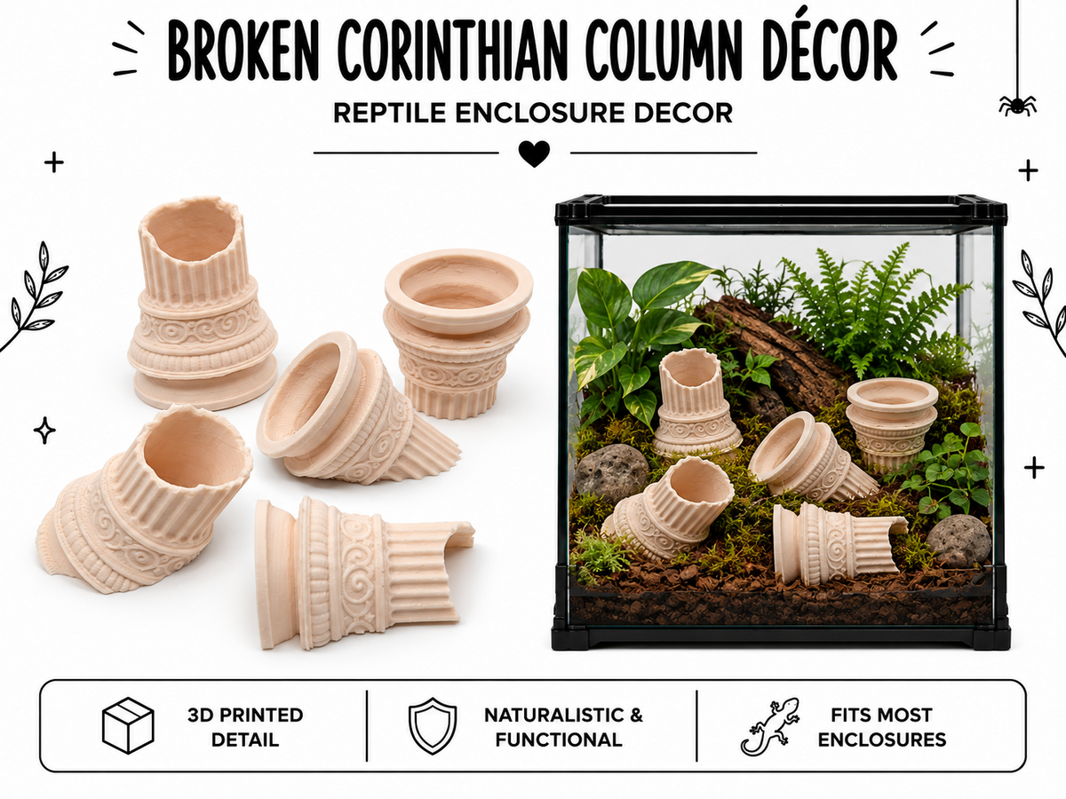 Broken Corinthian Column Décor Set