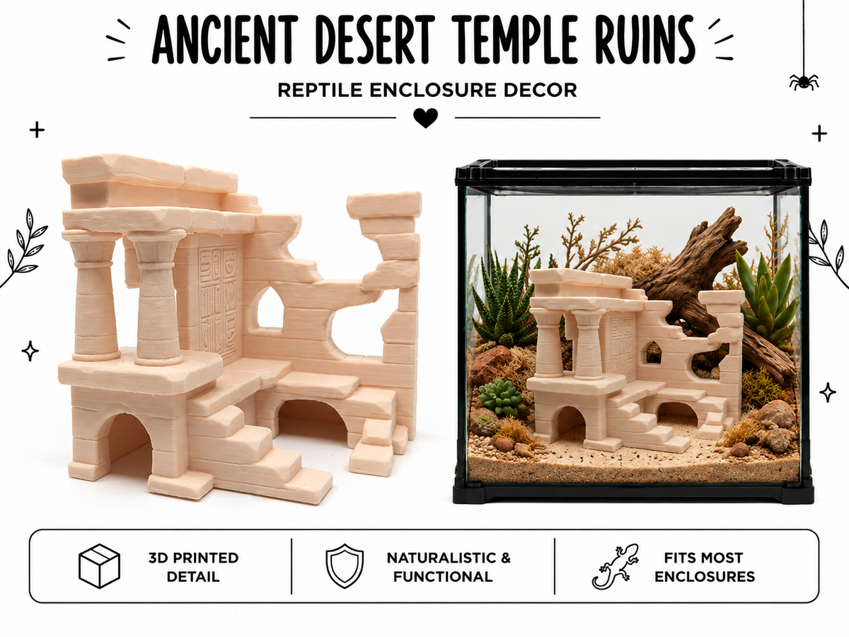 Ancient Desert Temple Ruins Hide