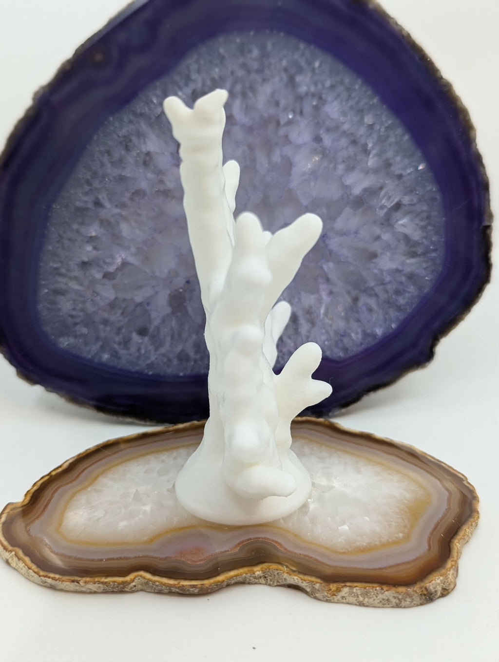Coral Branch Climbing Structure - Reef-Inspired - Reptile Decor