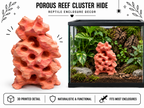 Porous Reef Cluster Hide – Rock Formation