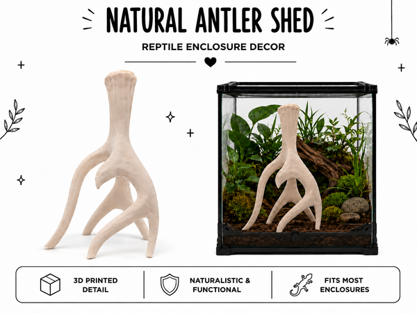 Natural Antler Shed – Reptile Climbing & Decor