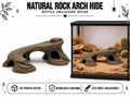Natural Rock Arch Hide & Feeding Ledge Decor