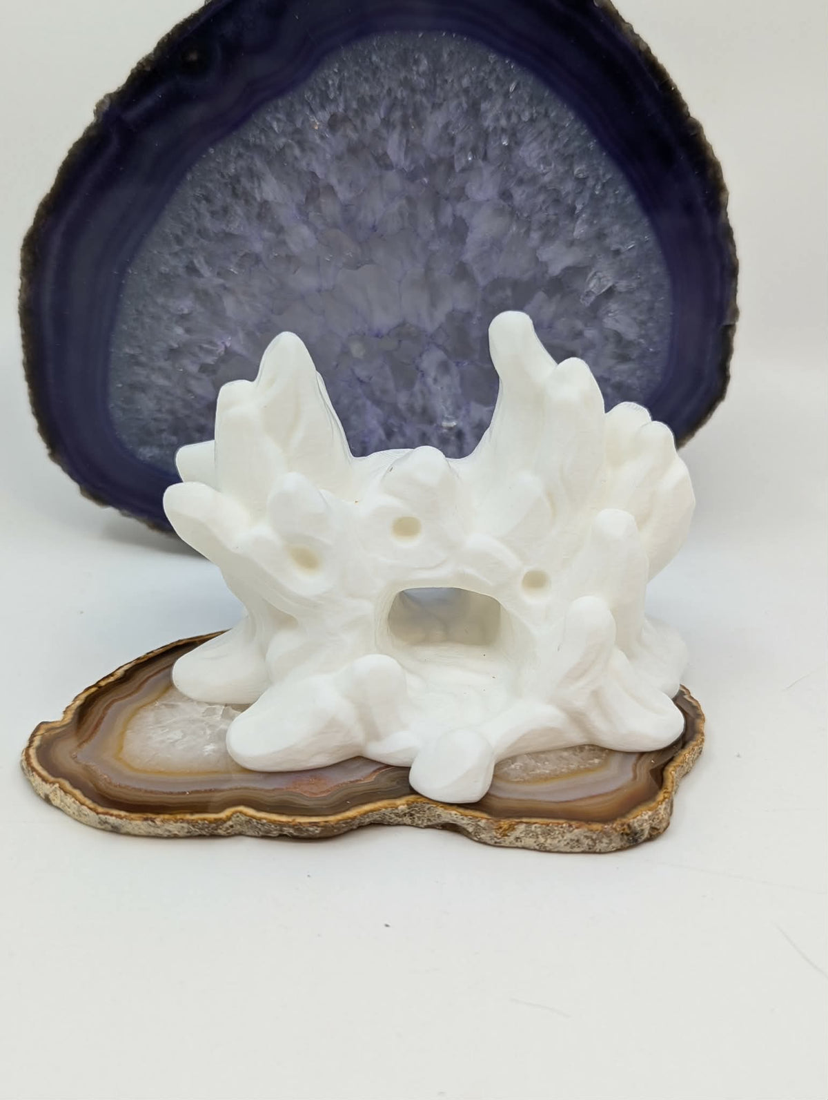 Organic Coral Cave Hide - Natural Reef-Inspired - Reptile Decor