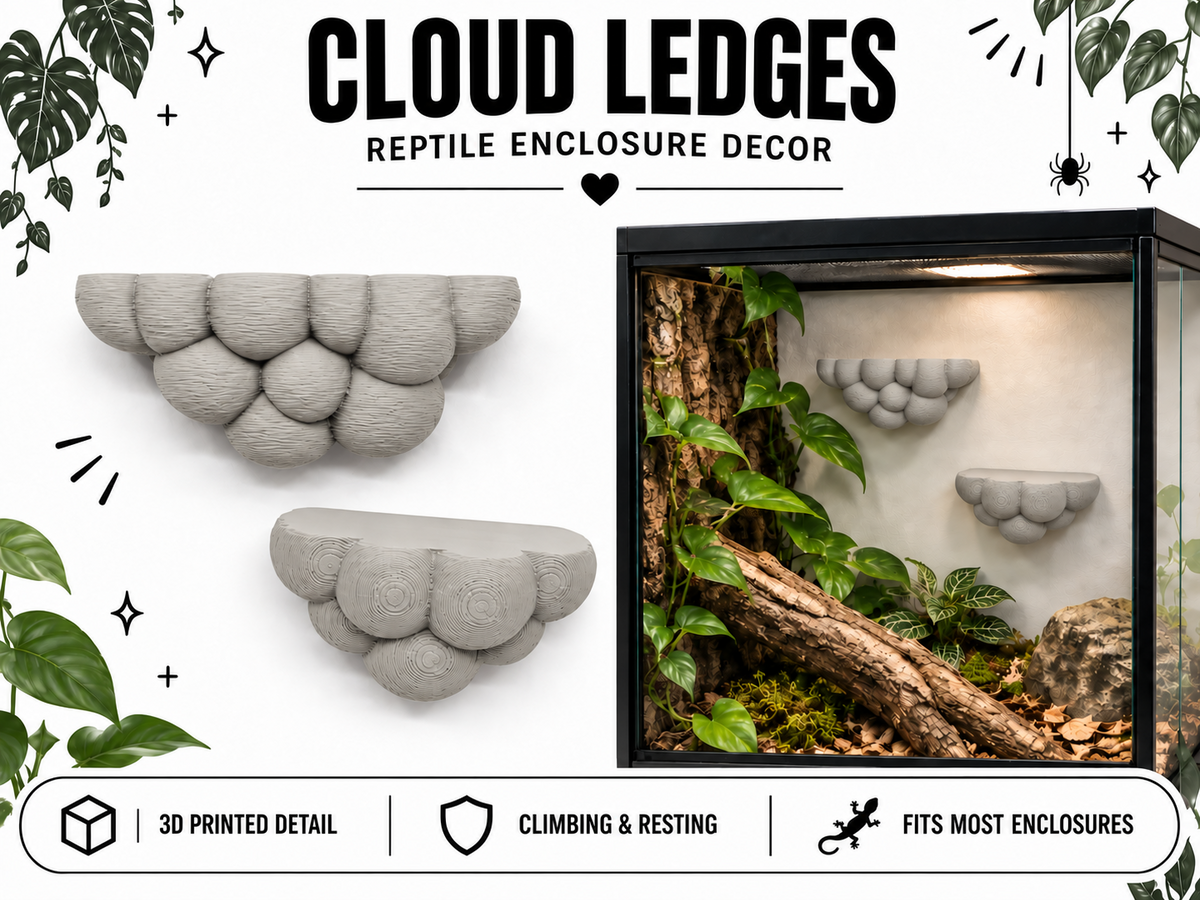 Cloud Ledge Reptile Climbing Platform Set