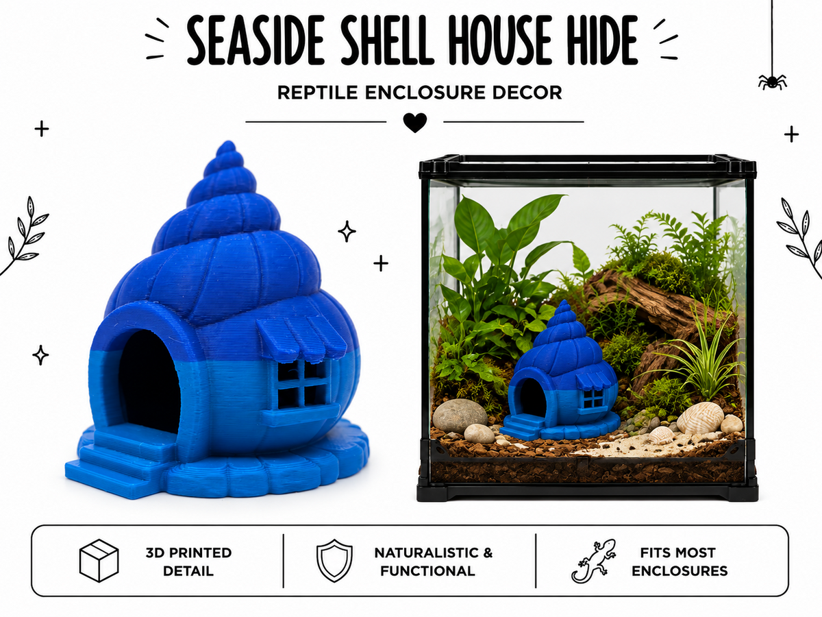 Seaside Shell House Hide – Coastal Décor