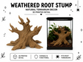 Weathered Root Stump Climber – Natural Accent