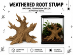 Weathered Root Stump Climber – Natural Accent