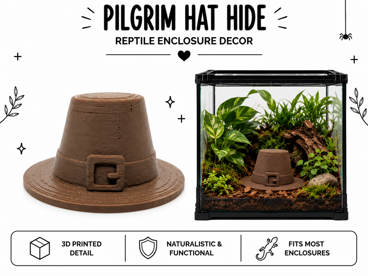 Pilgrim Hat Hide – Thanksgiving Reptile Decor