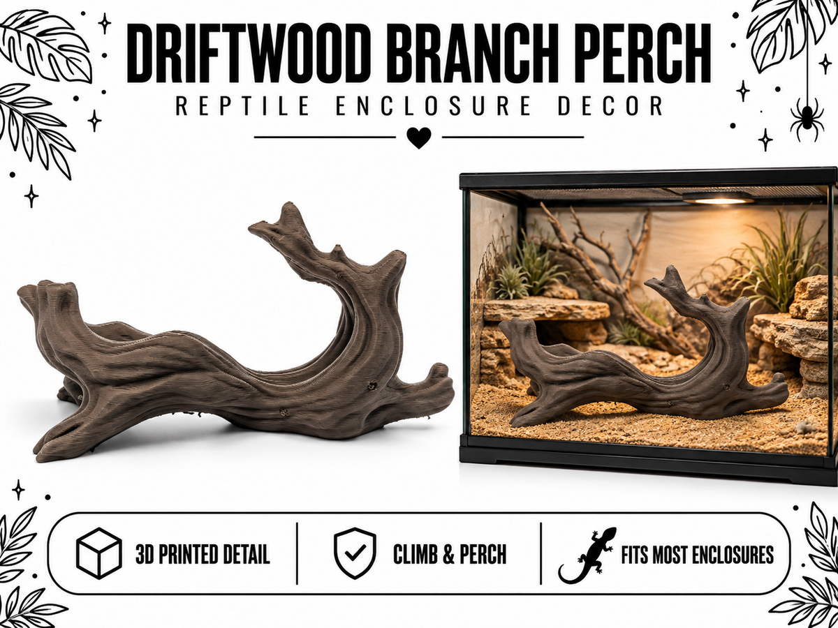 Driftwood Branch Perch – Natural Climbing Accent