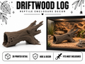 Driftwood Log Climbing Structure – Natural