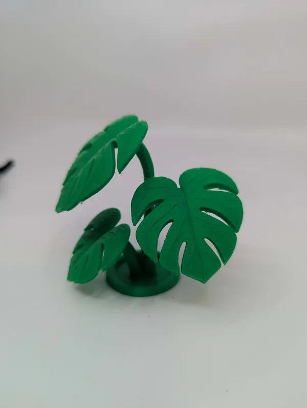 Monstera Leaf Cluster - Tropical Terrarium Plant - Reptile Decor