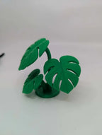 Monstera Leaf Cluster - Tropical Terrarium Plant - Reptile Decor