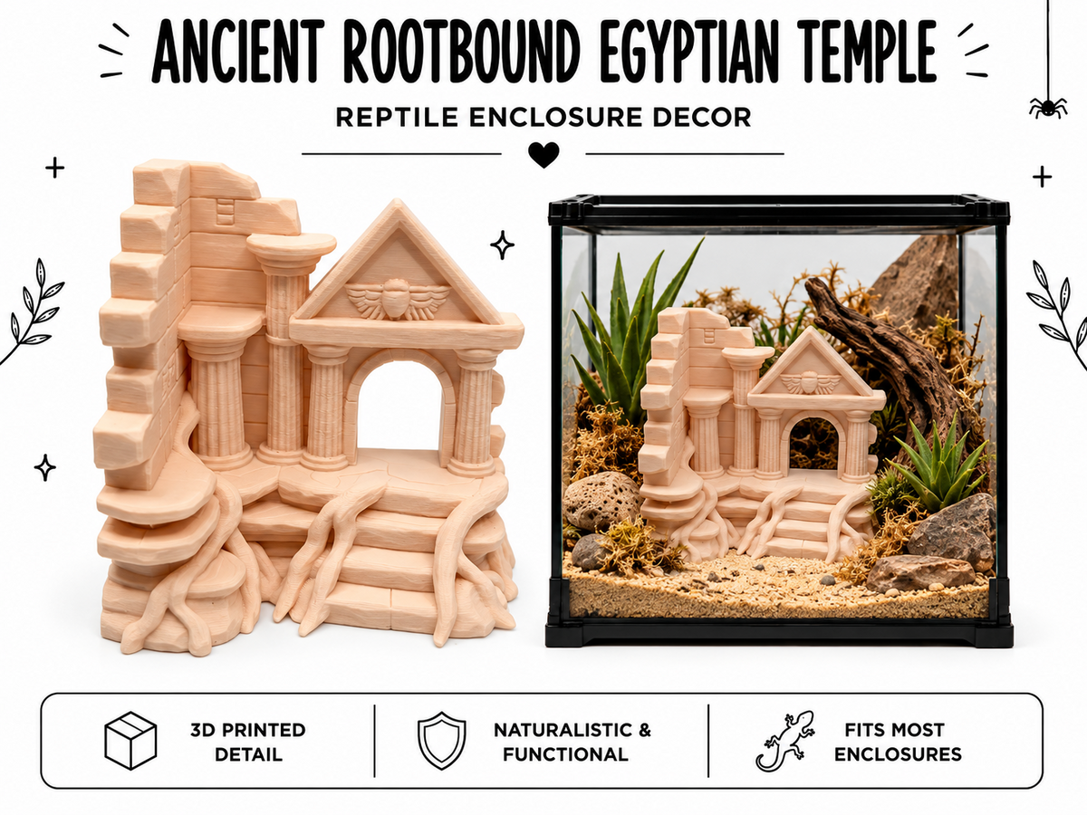 Ancient Rootbound Egyptian Temple Reptile Hide