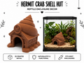 Hermit Crab Shell Hut