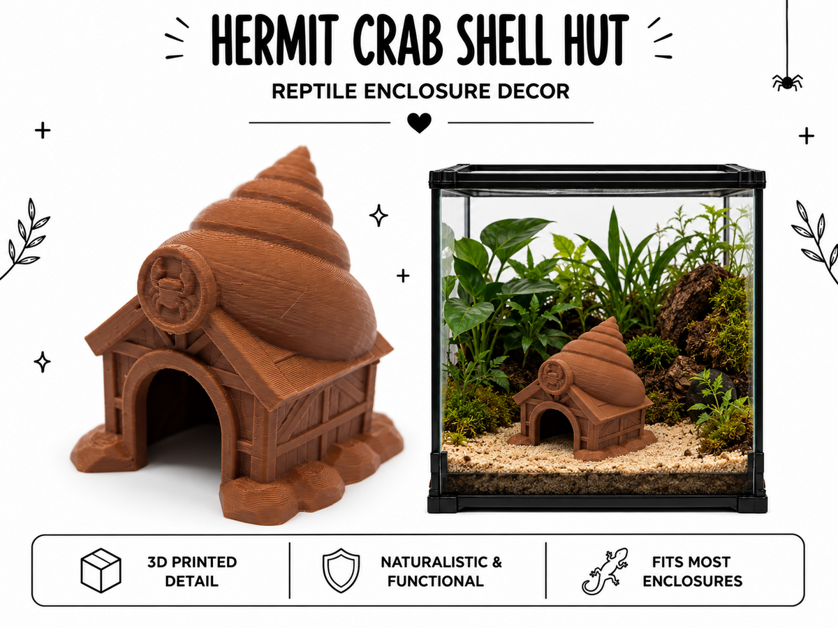 Hermit Crab Shell Hut