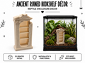 Ancient Ruined Bookshelf Décor