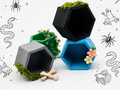 Hexagon little critter Hide Suction or Magnet