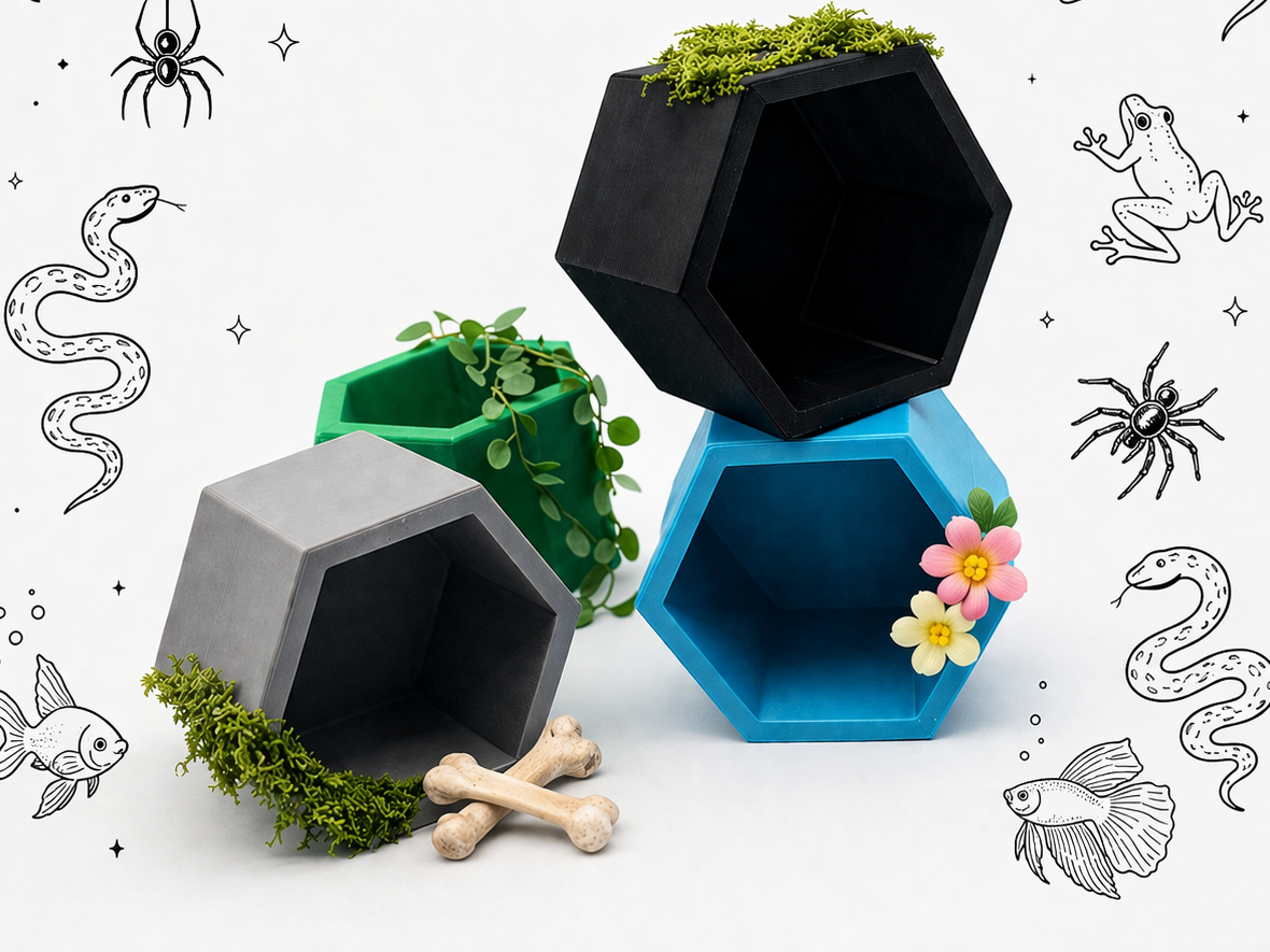 Hexagon little critter Hide Suction or Magnet