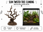 Slim Twisted Tree Climbing – Reptile Enrichment
