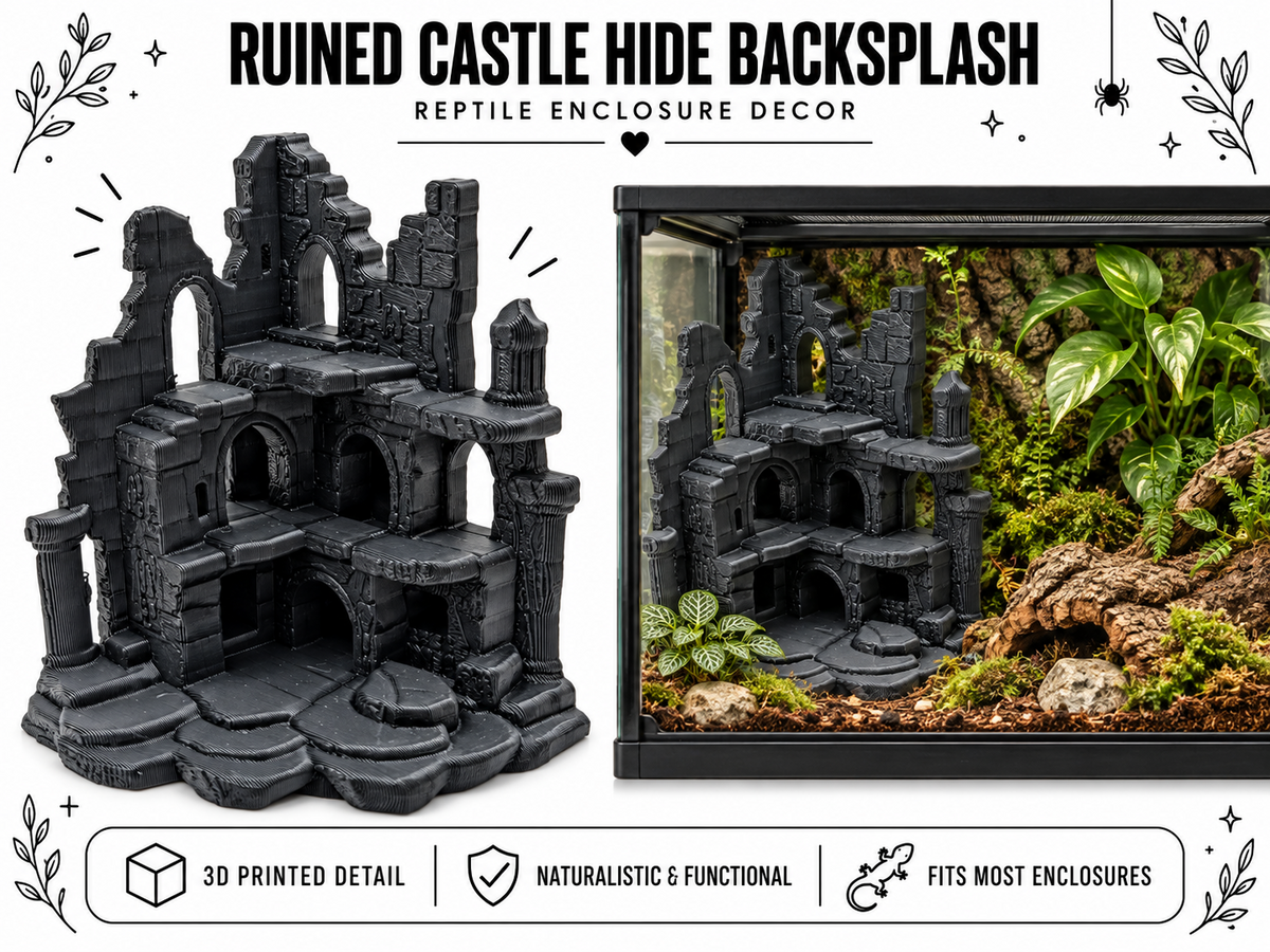 Ruined Castle Reptile Hide backsplash