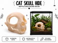 Cat Skull Hide