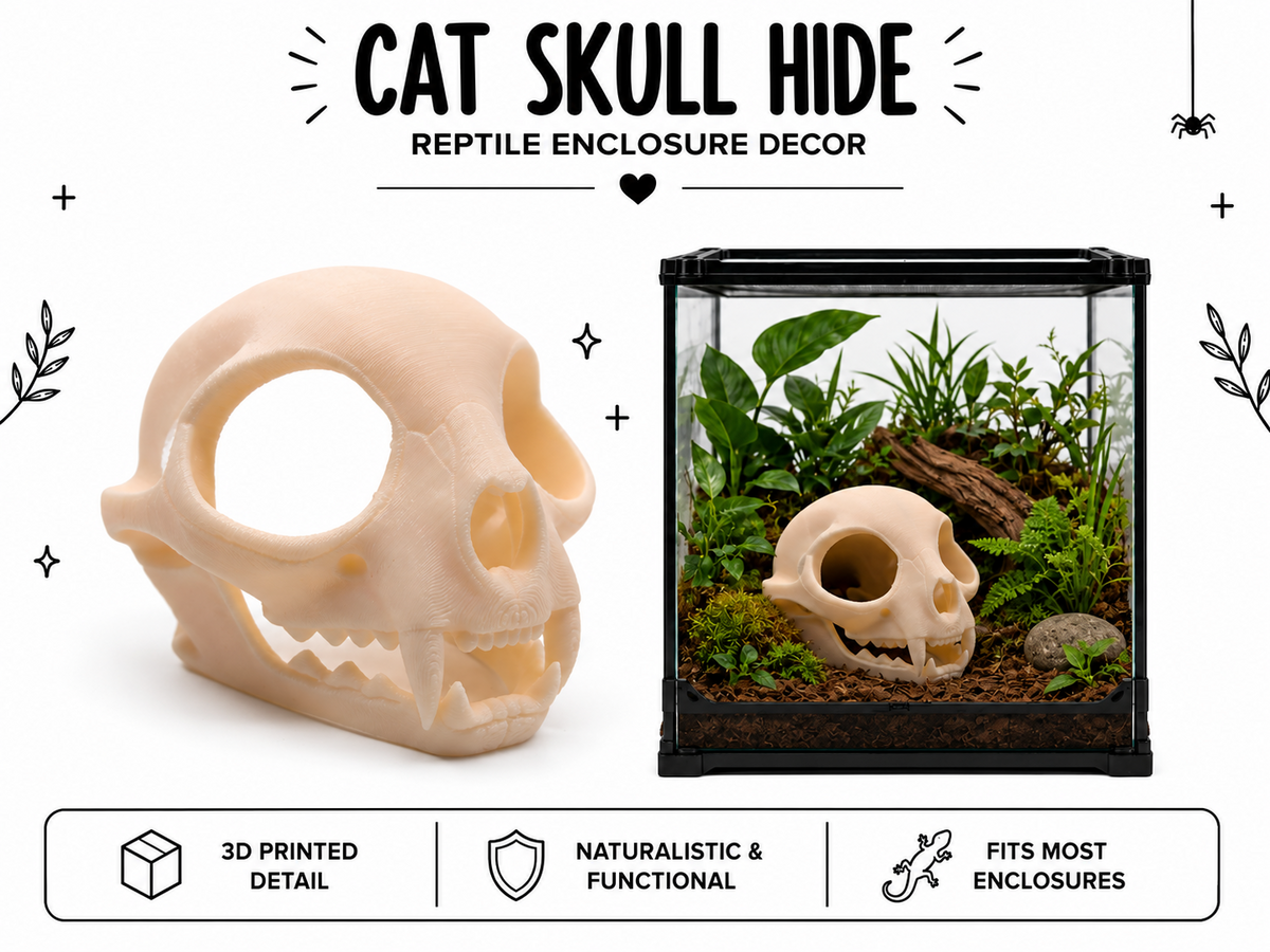 Cat Skull Hide