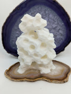Porous Reef Cluster Hide - Rock Formation - Reptile Terrarium Decor