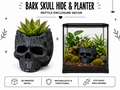 Bark Skull Hide & Planter – Woodland Terrarium