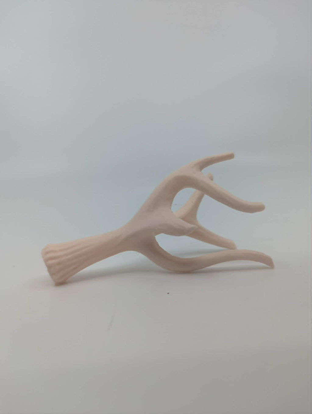 Natural Antler Shed - Reptile Climbing & Decor - Terrarium Decor