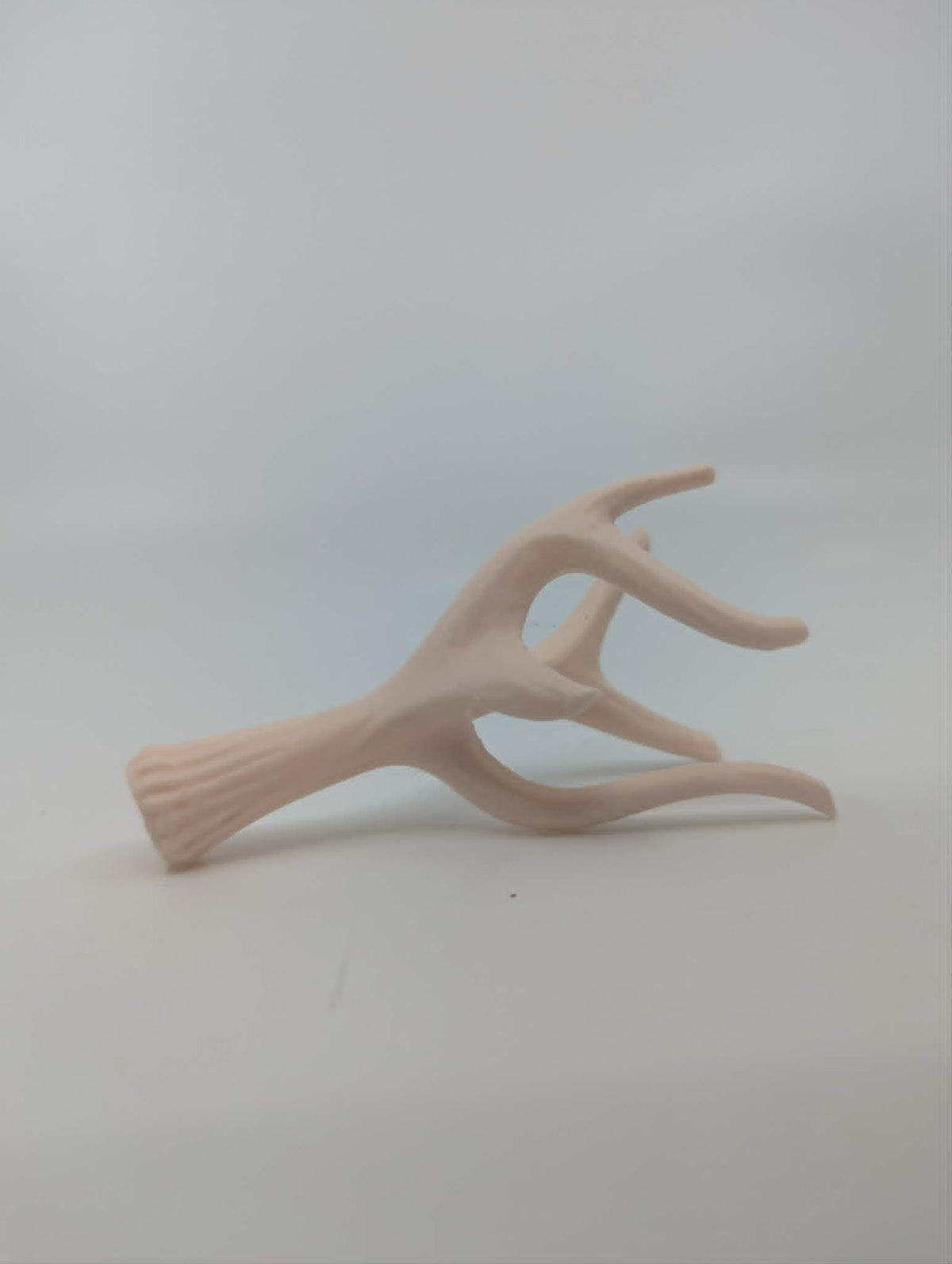 Natural Antler Shed - Reptile Climbing & Decor - Terrarium Decor