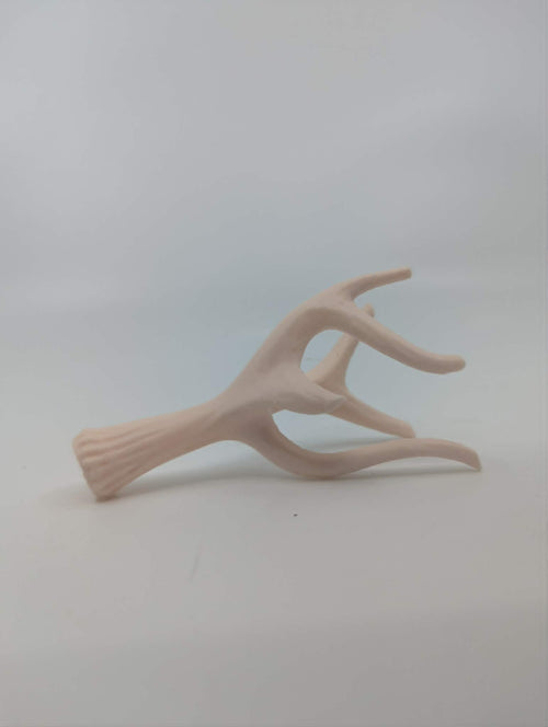 Natural Antler Shed - Reptile Climbing & Decor - Terrarium Decor