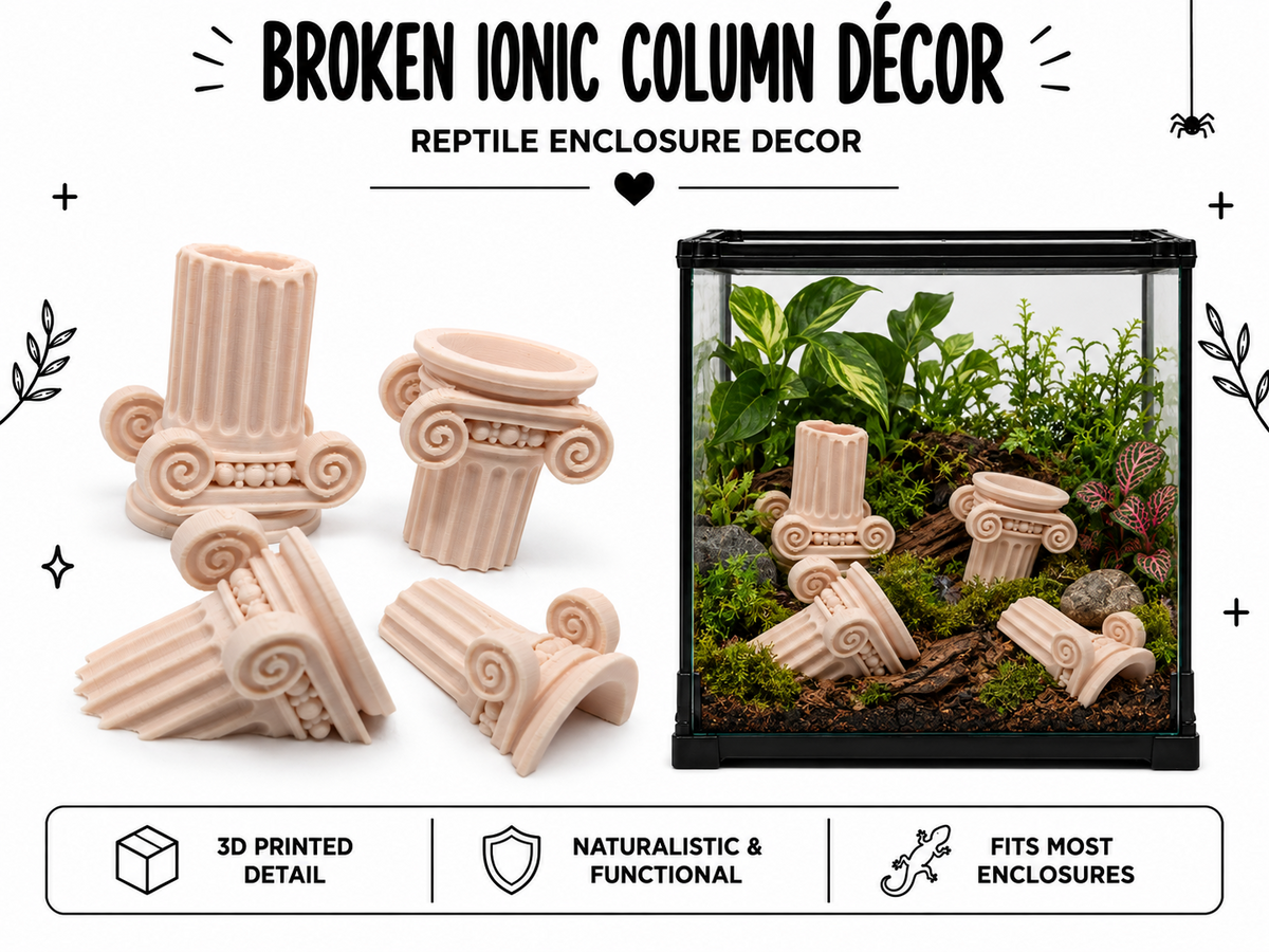 Broken Ionic Column Décor Set