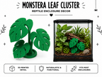 Monstera Leaf Cluster – Tropical Terrarium Plant