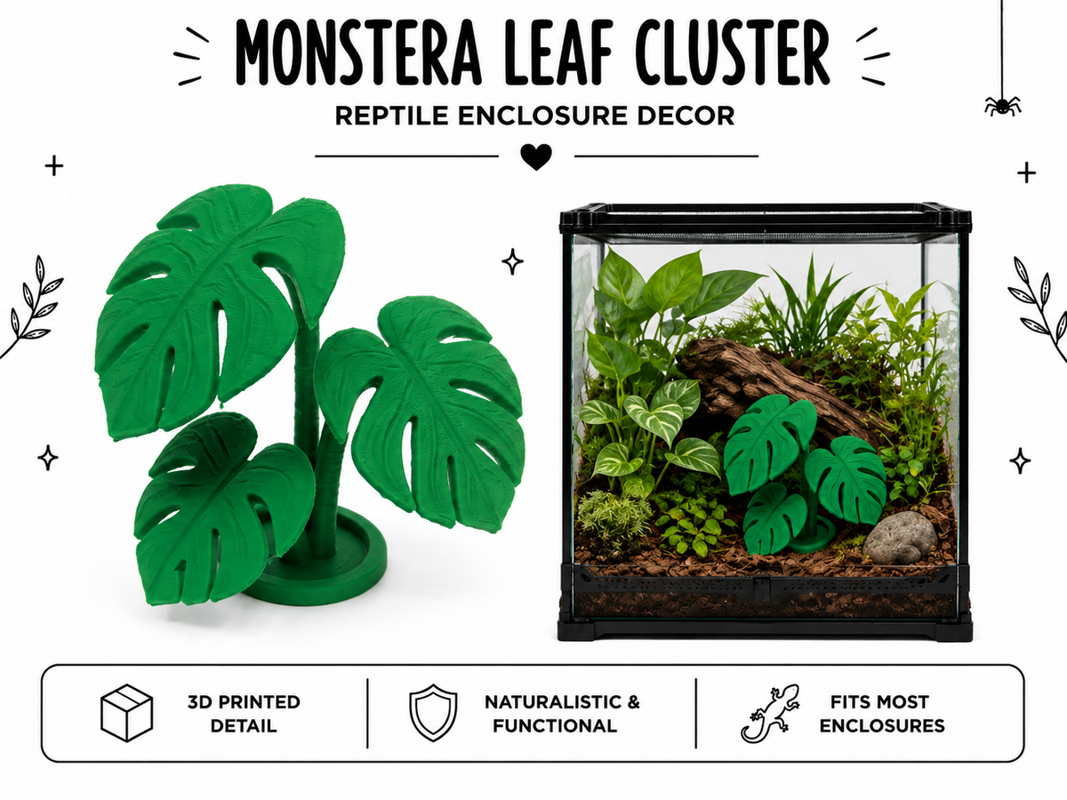 Monstera Leaf Cluster – Tropical Terrarium Plant