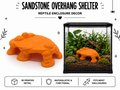 Sandstone Overhang Shelter – Extended Desert Rock