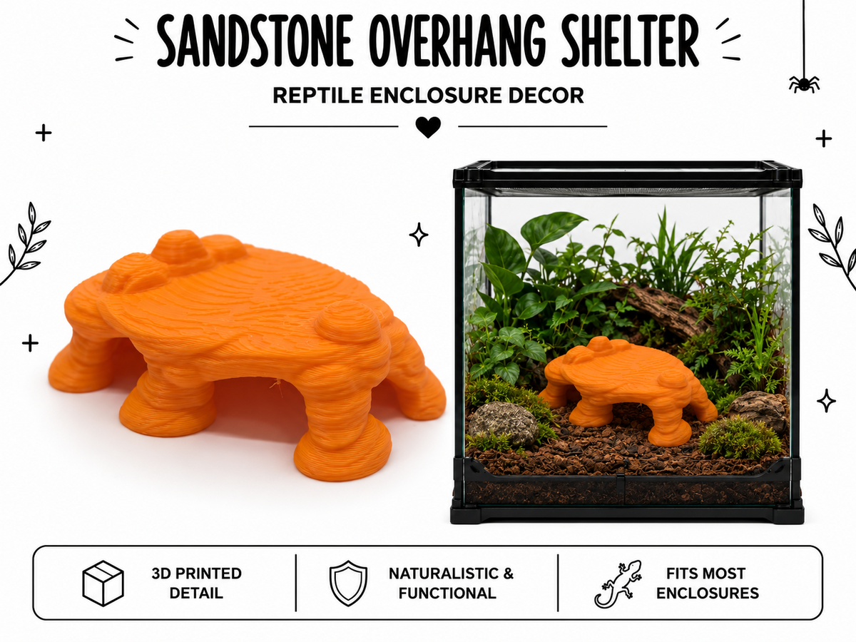 Sandstone Overhang Shelter – Extended Desert Rock