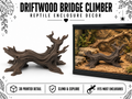 Driftwood Bridge Climber – Natural Terrain Accent
