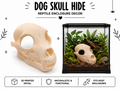 Dog Skull Hide