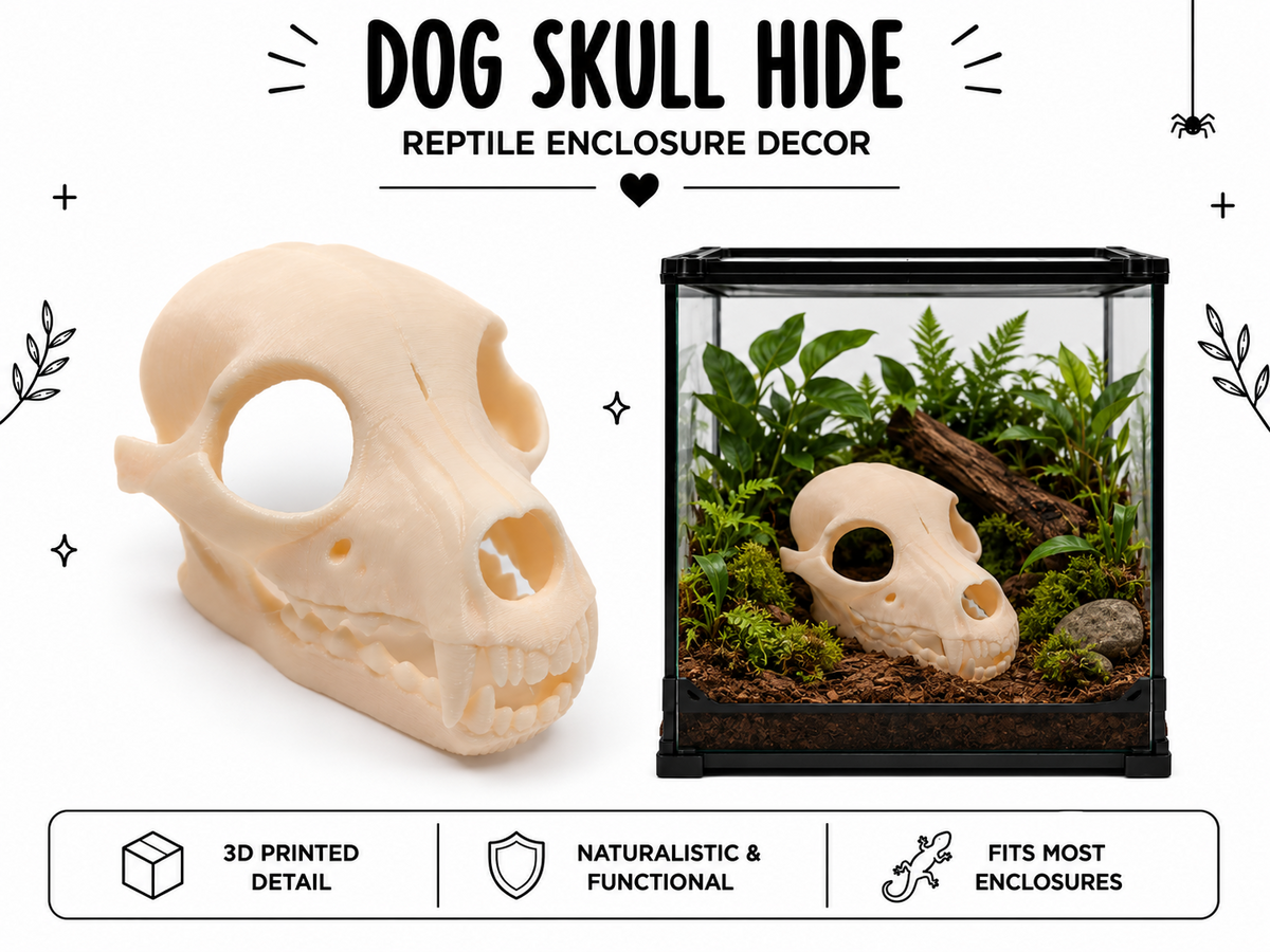 Dog Skull Hide