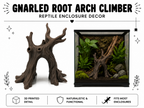 Gnarled Root Arch Climber – Natural Woodland