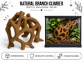 Natural branch reptile climbing hide, 3D printed