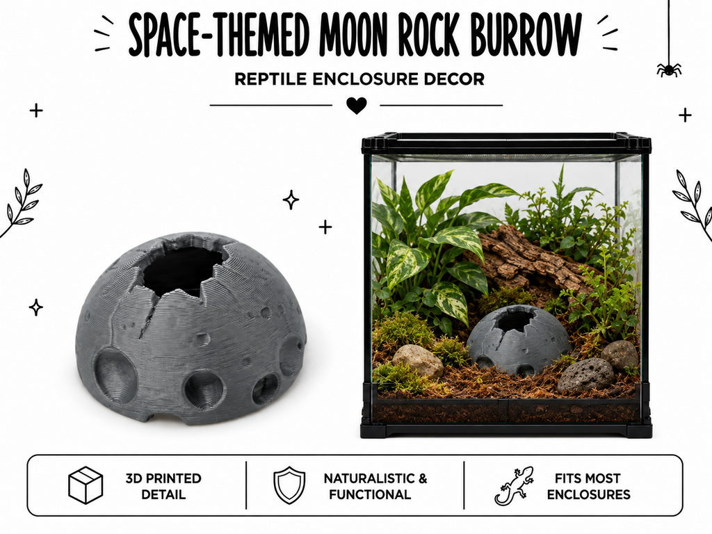 Space-Themed Moon Rock & Asteroid Enclosure Decor