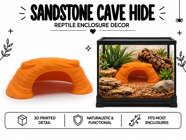 Sandstone Cave Hide – Natural Desert Shelter