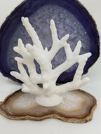 Coral Branch Climbing Structure - Reef-Inspired - Reptile Decor