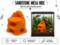 Sandstone Mesa Hide – Desert Shelter