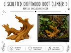 Sculpted Driftwood Root Climber – Natural Accent
